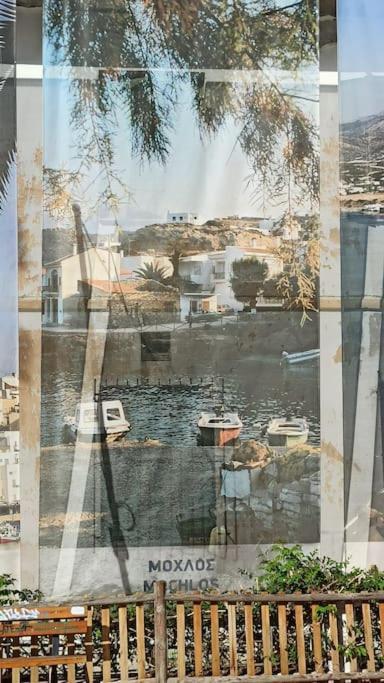 Seashell Apartment Sea View, Castle View 200Metres From The Beach Sitia  Exterior foto